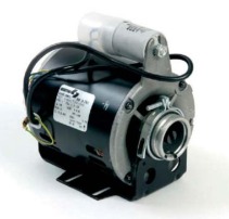 Pumps and motors